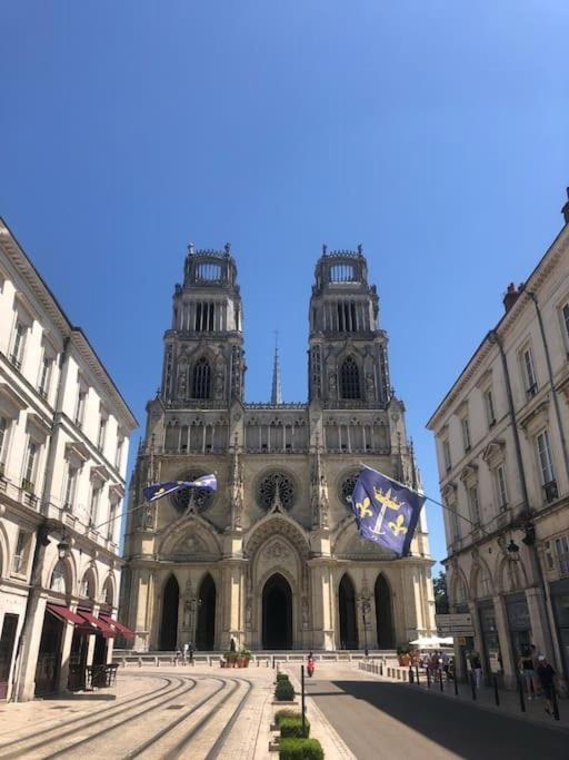Le Domremy F2 Au Coeur D'Orleans公寓 外观 照片